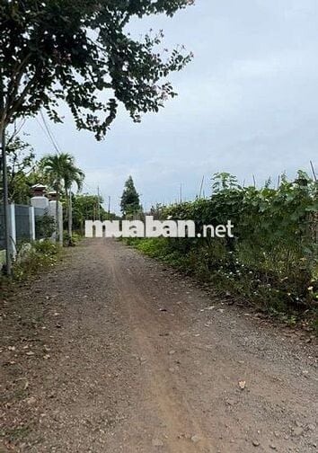 2 lô đất giá tốt,có sẵn thổ cư: 362 m2 +100m2 ONT và 932 m2 +100m2 ONT