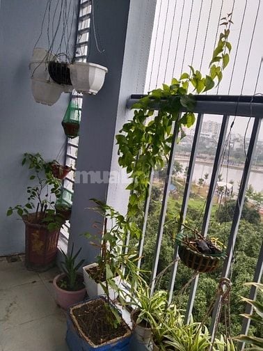 Bán CC Rice City Sông Hồng 70m2, 2PN, 2WC, nội thất cao cấp 