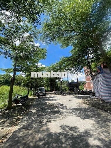 🌾 Giá Tốt - Bán đất 1344 Lê Văn Lương Phước Kiển 6x14m - 4.4 Tỷ TL