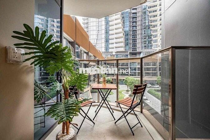 Khai trương dự án căn hộ cao cấp tại Âu Cơ, p10, Tân Bình, HCM