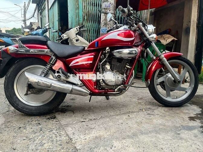 magma zin giấy tờ đầy đủ