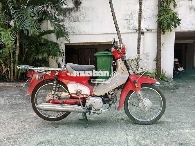 Cub đèn tròn, chính chủ