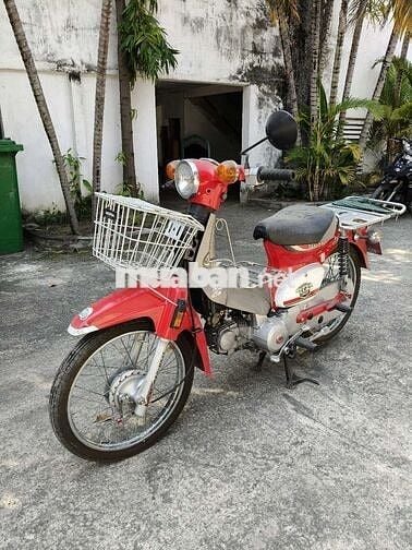 Cub đèn tròn, chính chủ