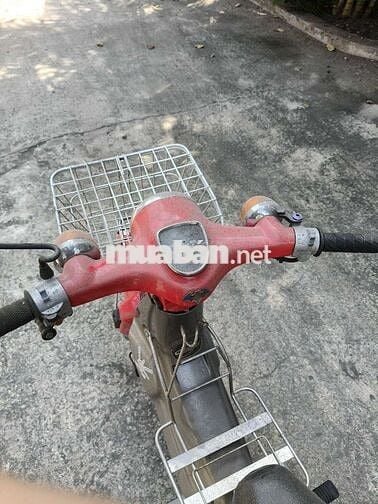 Cub đèn tròn, chính chủ