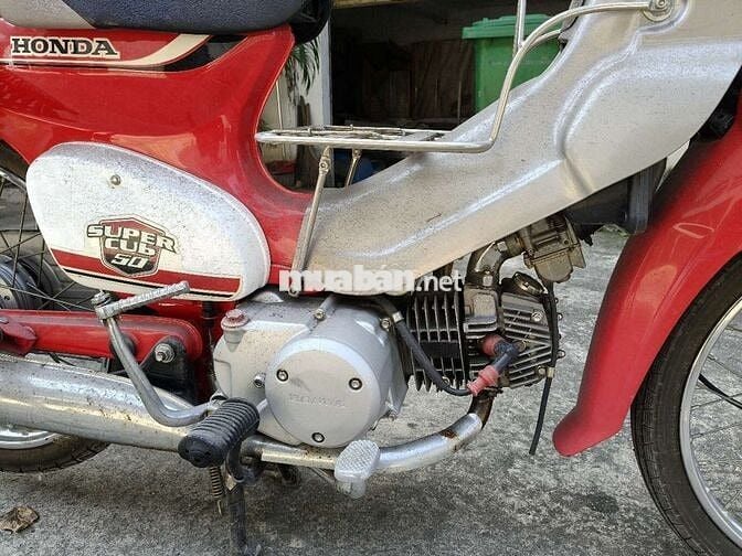 Cub đèn tròn, chính chủ