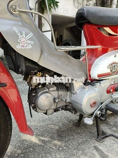 Cub đèn tròn, chính chủ