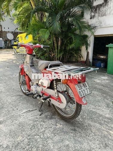 Cub đèn tròn, chính chủ