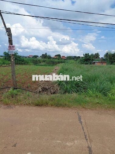 Bán Lô Đất Mặt Tiền Đường Nhựa Sau UBND Phường Ea Kao - BMT