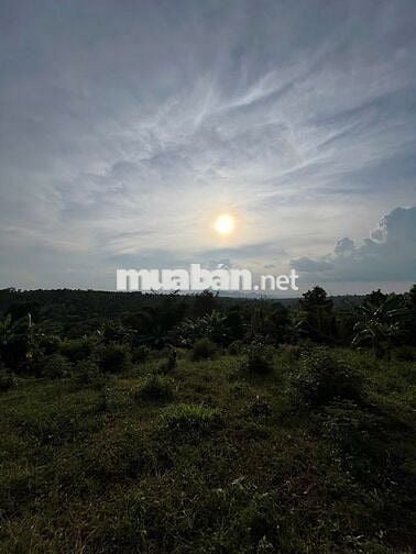 Cần bán ５００ｍ２ cuối hẻm 451 Ymon, phường Buôn ma thuột