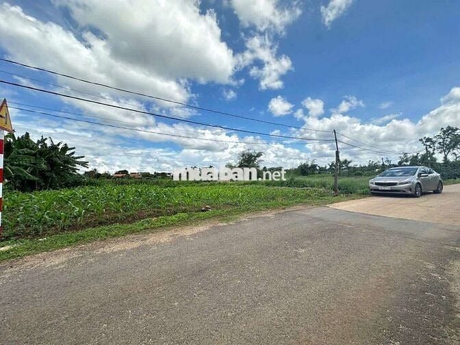 Bán Lô Đất Mặt Tiền Đường Nhựa Sau UBND Phường Ea Kao - BMT
