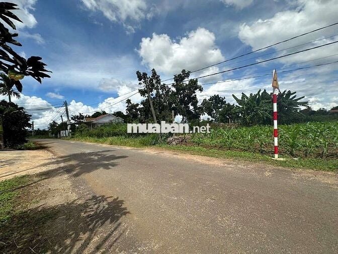 Bán Lô Đất Mặt Tiền Đường Nhựa Sau UBND Phường Ea Kao - BMT
