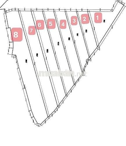 ⭐️HÀNG TƯƠI CẬP BẾN ⭐️NGAY ĐẦM SEN Q11
