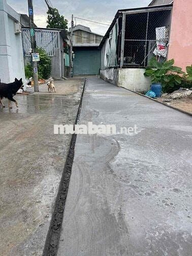 Lô đất Full thổ cư XD tự doDT 5x19 xát ngay chợ Gấu Đông Thạnh dg 4m