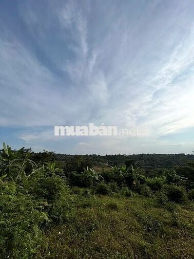 Cần bán ５００ｍ２ cuối hẻm 451 Ymon, phường Buôn ma thuột