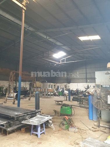 Nhà xưởng cao ráo cần cho thuê ở Vĩnh Lộc B Bình Chánh