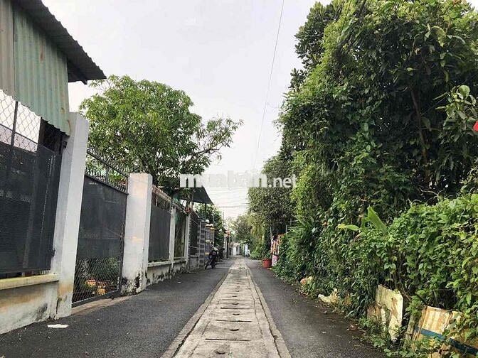 Đất Chánh Mỹ Gần Cầu Bà Cô ( Chánh Hiệp TPHCM)