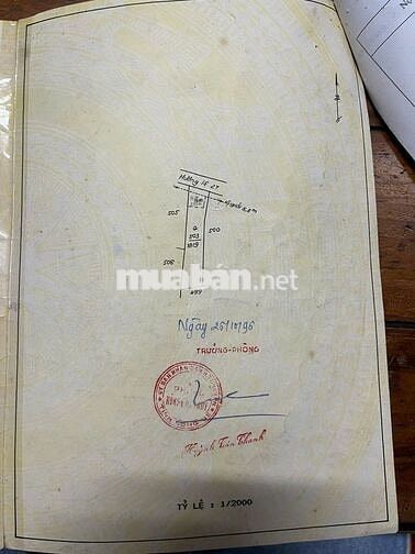 BÁN ĐẤT 1819 m2 tại DĨ AN - BÌNH DƯƠNG