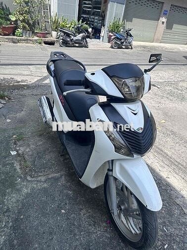 Honda SH Trắng