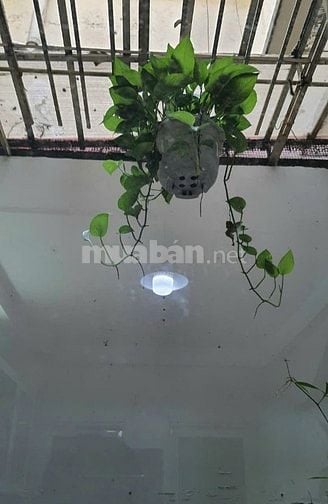 Cho Thuê Căn Hộ: Thang bộ lô K Tầng lửng Cc Bàu Cát 2 Tân Bình dt:70m2