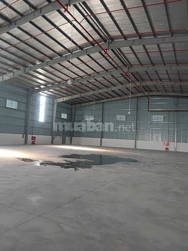 Cho thuê kho bãi Khu Vực Phúc Yên Vĩnh Phúc