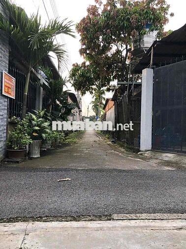 Đất Chánh Mỹ Gần Cầu Bà Cô ( Chánh Hiệp TPHCM)