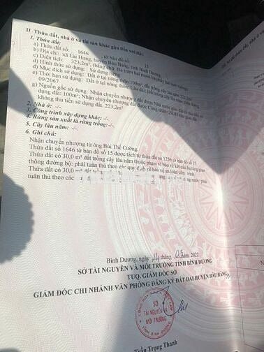 Bán 323m Lai Hưng 20 lai Hưng Bàu Bàng Bình Dương