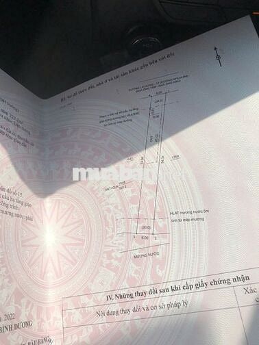 Bán 323m Lai Hưng 20 lai Hưng Bàu Bàng Bình Dương