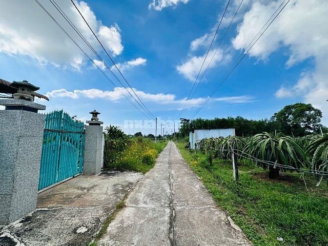 6X38(231M2) Full Thổ Cư, Hẻm Lý Thái Tổ Tân Tiến View Biển 