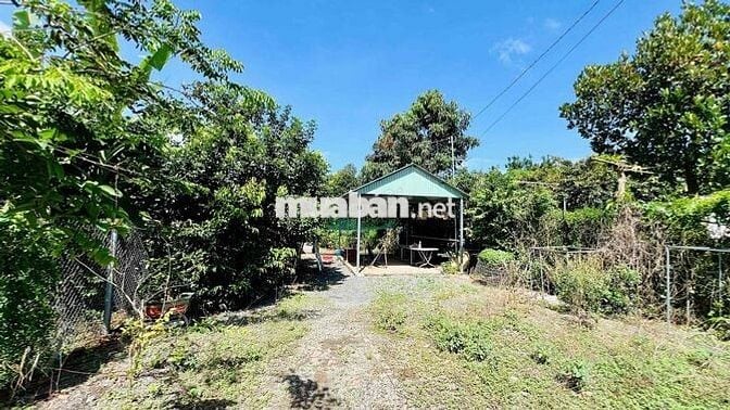 MẶT TIỀN NGUYỄN THỊ ĐỊNH – TRUNG TÂM THỊ TRẤN ĐẤT ĐỎ