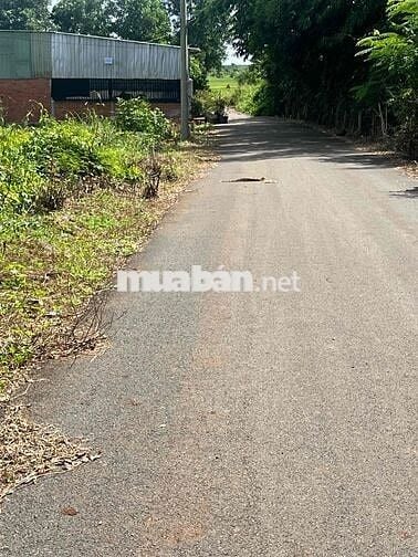 bán đất mặt tiền giá rẽ gần tỉnh lộ 765