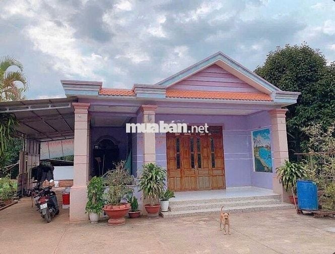 nhà đang cho thuê 3trieu/tháng