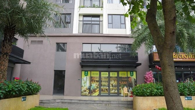 Bán  căn Shophoue khối đế 2 tầng quận 12 HCM , sổ hồng sở hữ lâu dài