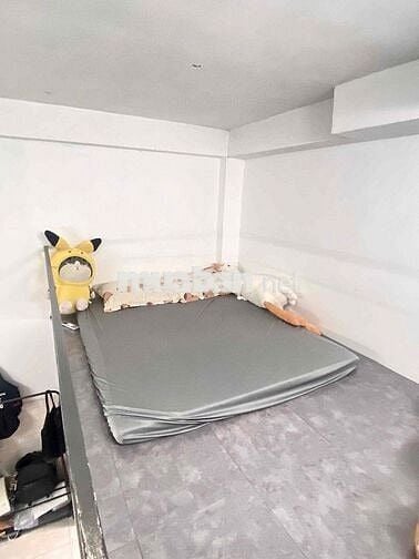 hỗ trợ 300k/ trong 3 tháng đầu