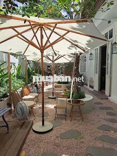 Biệt thự sân vườn sang trọng Quận 3 – Không gian cực chill SD ~ 1000m2