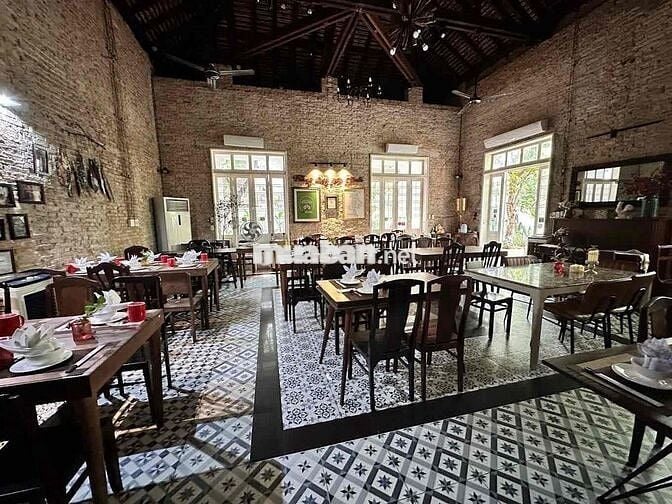 Biệt thự sân vườn sang trọng Quận 3 – Không gian cực chill SD ~ 1000m2