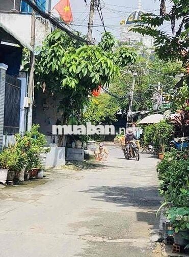 🏡Lô Đ.ất V.I.P Linh Xuân – trục Đường 11 – khu TTHC Dĩ An, 4,xx Tỏi