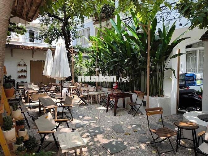 Biệt thự sân vườn sang trọng Quận 3 – Không gian cực chill SD ~ 1000m2