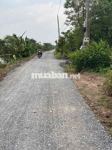 Bán đất gò công đông ấp bến chợ