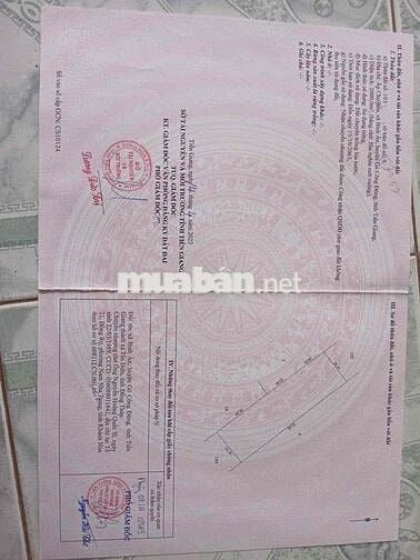 Bán đất gò công đông ấp bến chợ