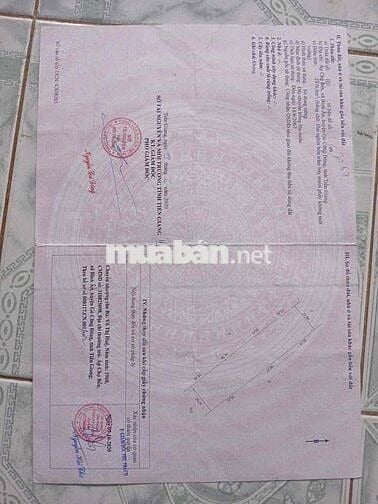 Bán đất gò công đông ấp bến chợ