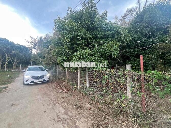 Đất thổ cư sổ riêng 132,6m2 gần uỷ ban phươngd Bình Lộc, Đồng Nai