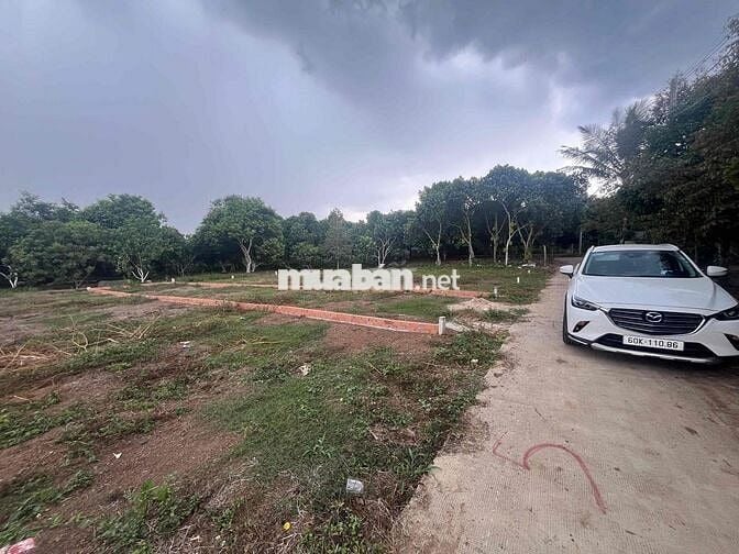 Đất thổ cư sổ riêng 132,6m2 gần uỷ ban phươngd Bình Lộc, Đồng Nai