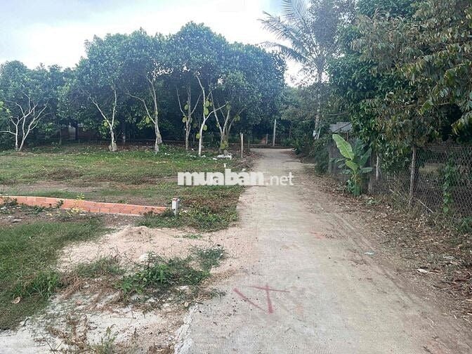 Đất thổ cư sổ riêng 132,6m2 gần uỷ ban phươngd Bình Lộc, Đồng Nai