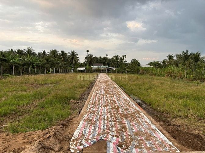 ĐẤT NỀN LONG HOÀ B – GIÁ F0, VỊ TRÍ VÀNG, CƠ HỘI TĂNG GIÁ MẠNH 