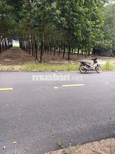 Chính chủ cần bán lô đất mặt tiền đường Tân Định 37, Bắc Tân Uyên, BD