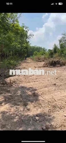 Siêu hiếm! Lô đất 1262,6 m² tại Bắc Tân Uyên – Có 200m² thổ cư