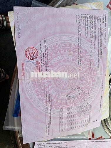 bán mặt tiền đất tránh đông hoà phú buôn ma thuột dt 8 xào chính chủ