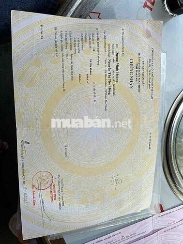 bán mặt tiền đất tránh đông hoà phú buôn ma thuột dt 8 xào chính chủ