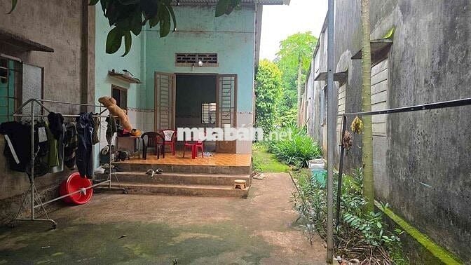 Bán đất xây nhà vườn tặng kèm căn nhà cấp 4 cách DH chỉ 3p