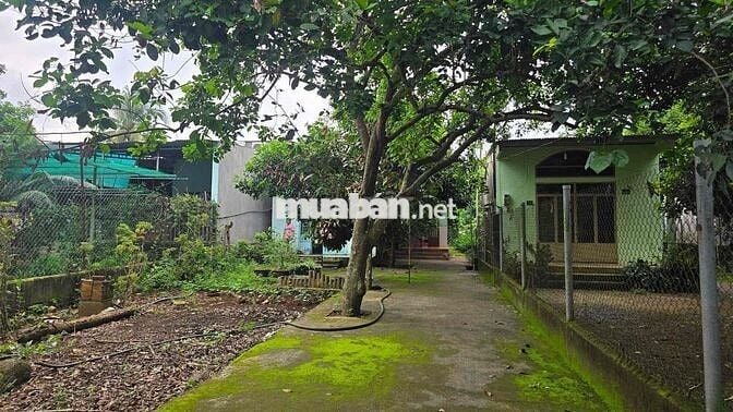 Bán đất xây nhà vườn tặng kèm căn nhà cấp 4 cách DH chỉ 3p